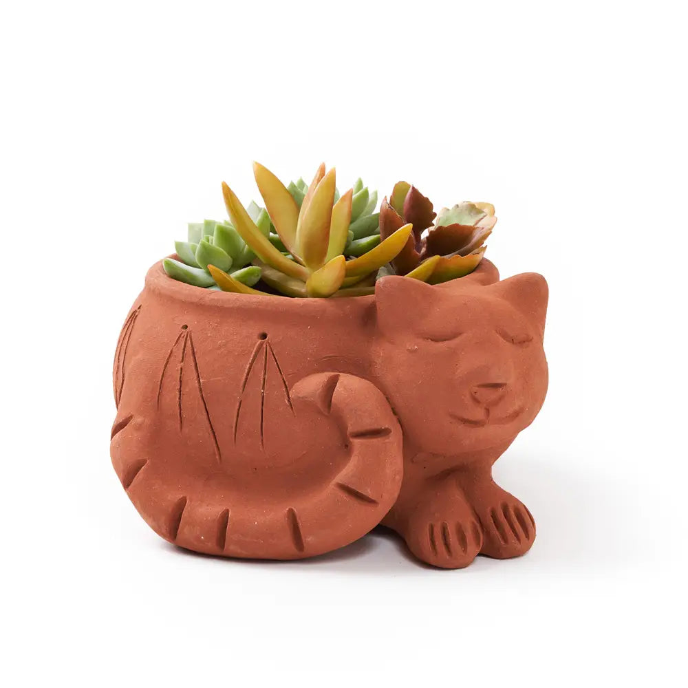 Plant Pot - Zinnias Gift Boutique