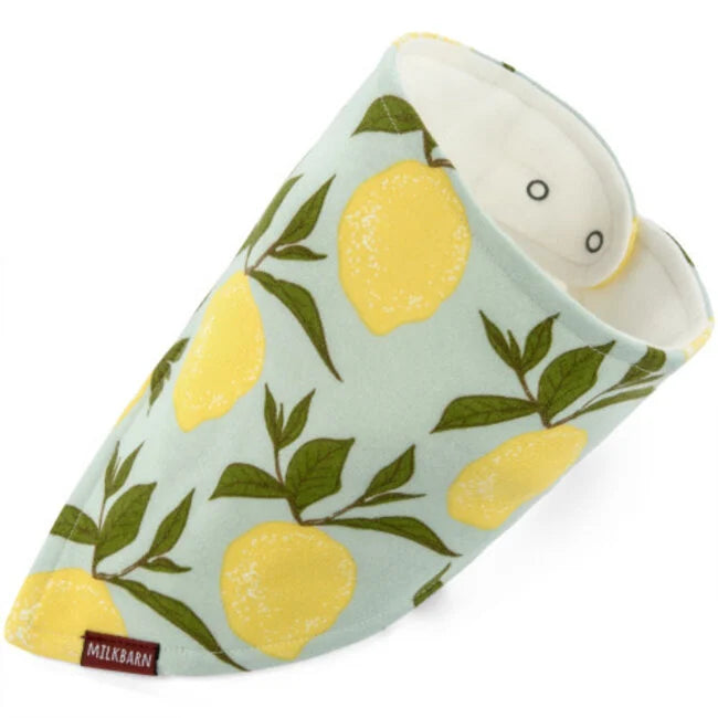 Organic Kerchief Bib Vintage - Zinnias Gift Boutique