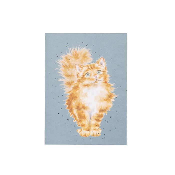 A6 Cat Notebook - Just Purr-fect - Zinnias Gift Boutique