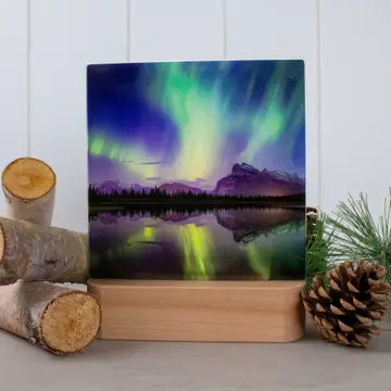 LED Nightlight - Zinnias Gift Boutique