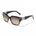 Contempo Dot Dual Sunglasses - Zinnias Gift Boutique