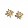 Enchanting Star Post Earrings Gold