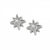 Enchanting Star Post Earrings Silver