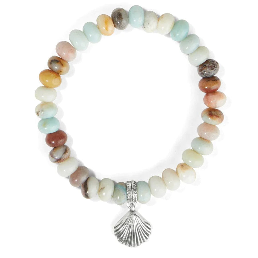 Silver Shells Bay Stretch Bracelet - Zinnias Gift Boutique