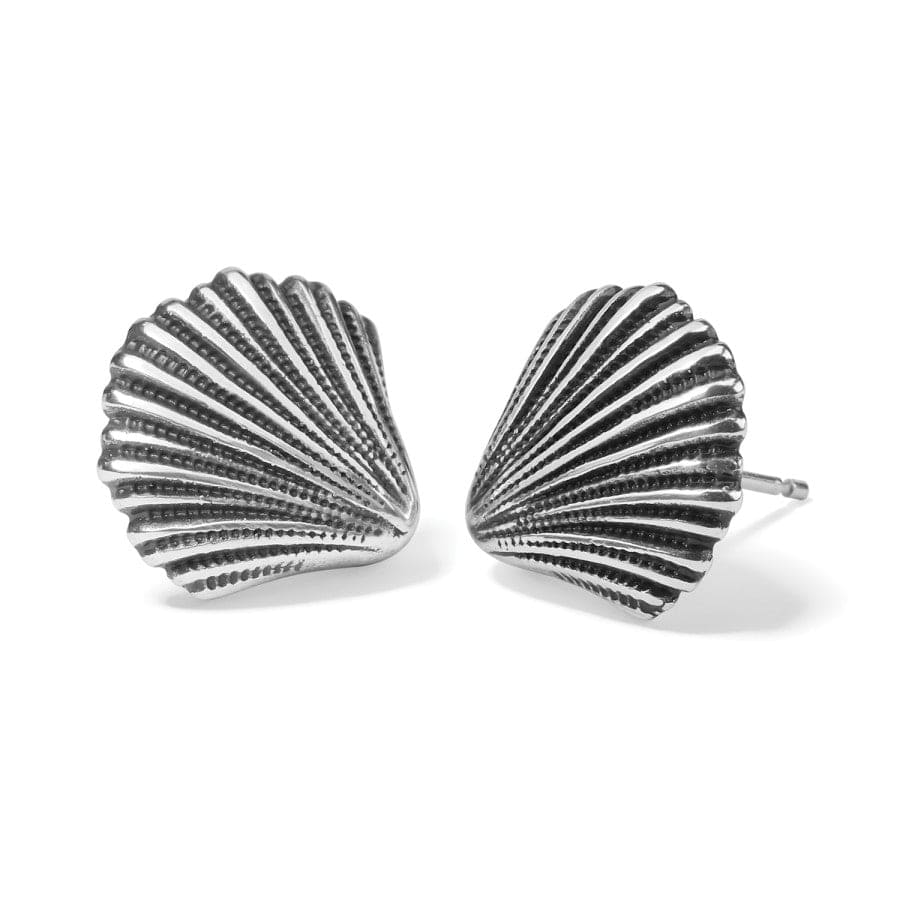 Silver Shells Post Earrings - Zinnias Gift Boutique