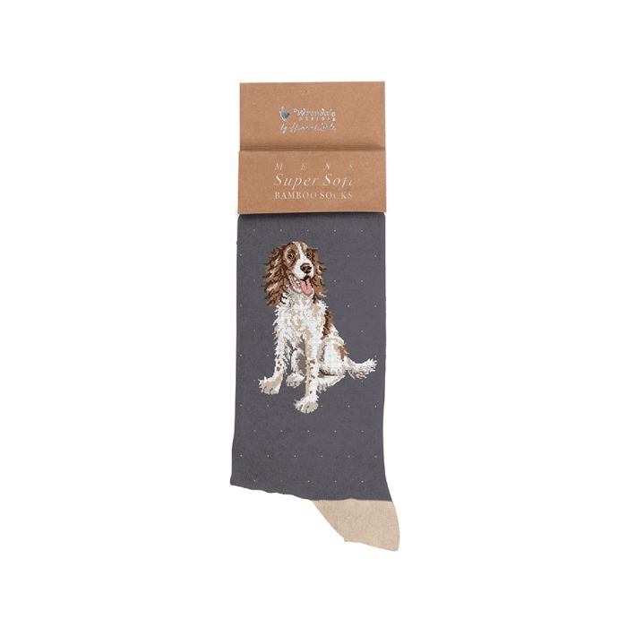 Spaniel Men's Sock - Willow - Zinnias Gift Boutique