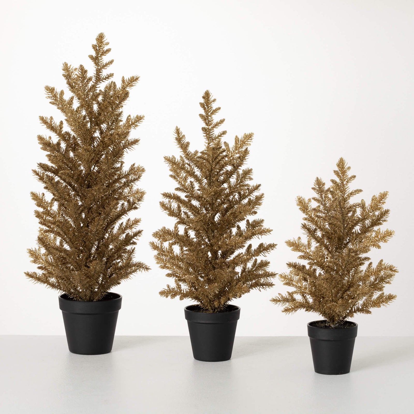 Potted Pine Tree - Zinnias Gift Boutique