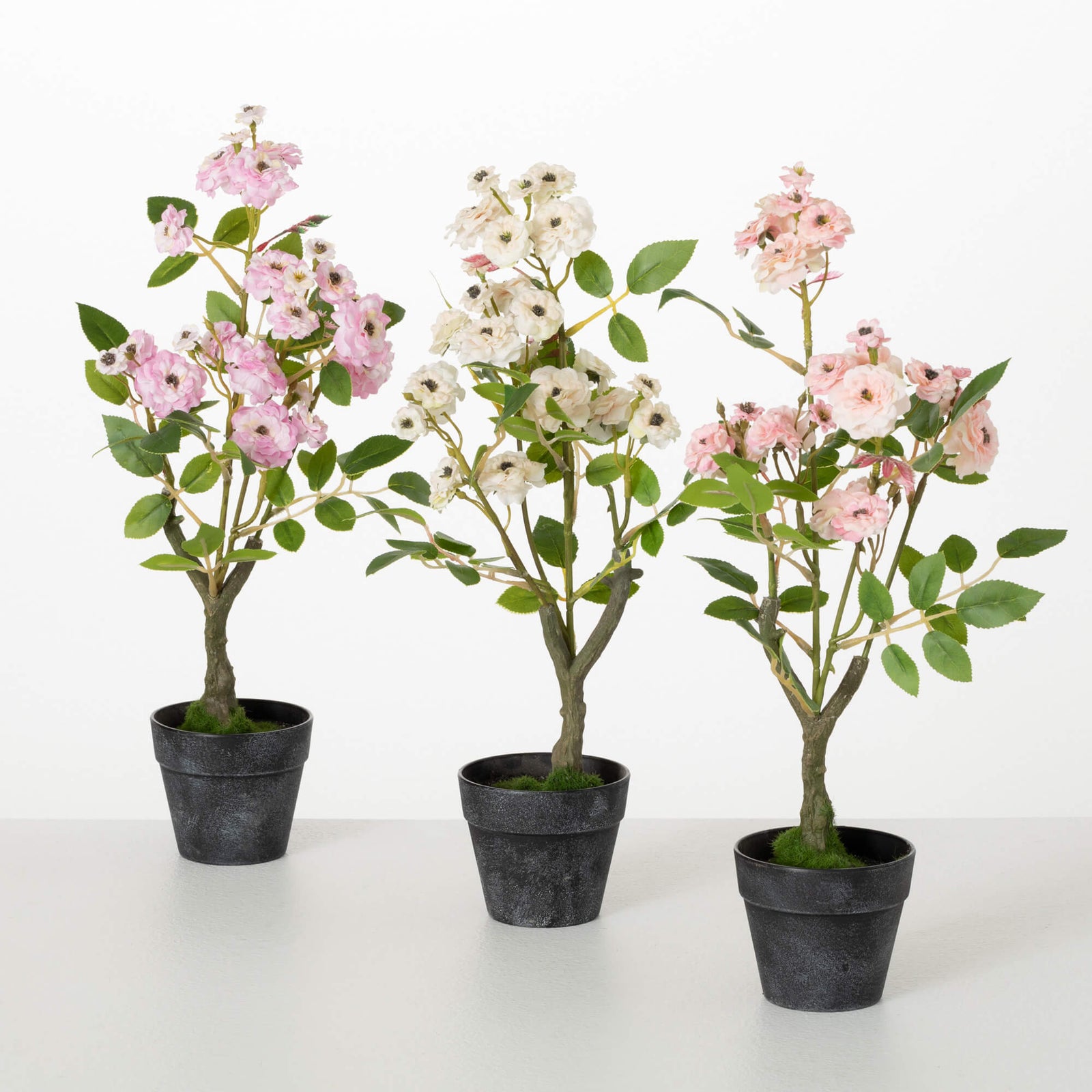 MINI ROSE BUSH - Zinnias Gift Boutique