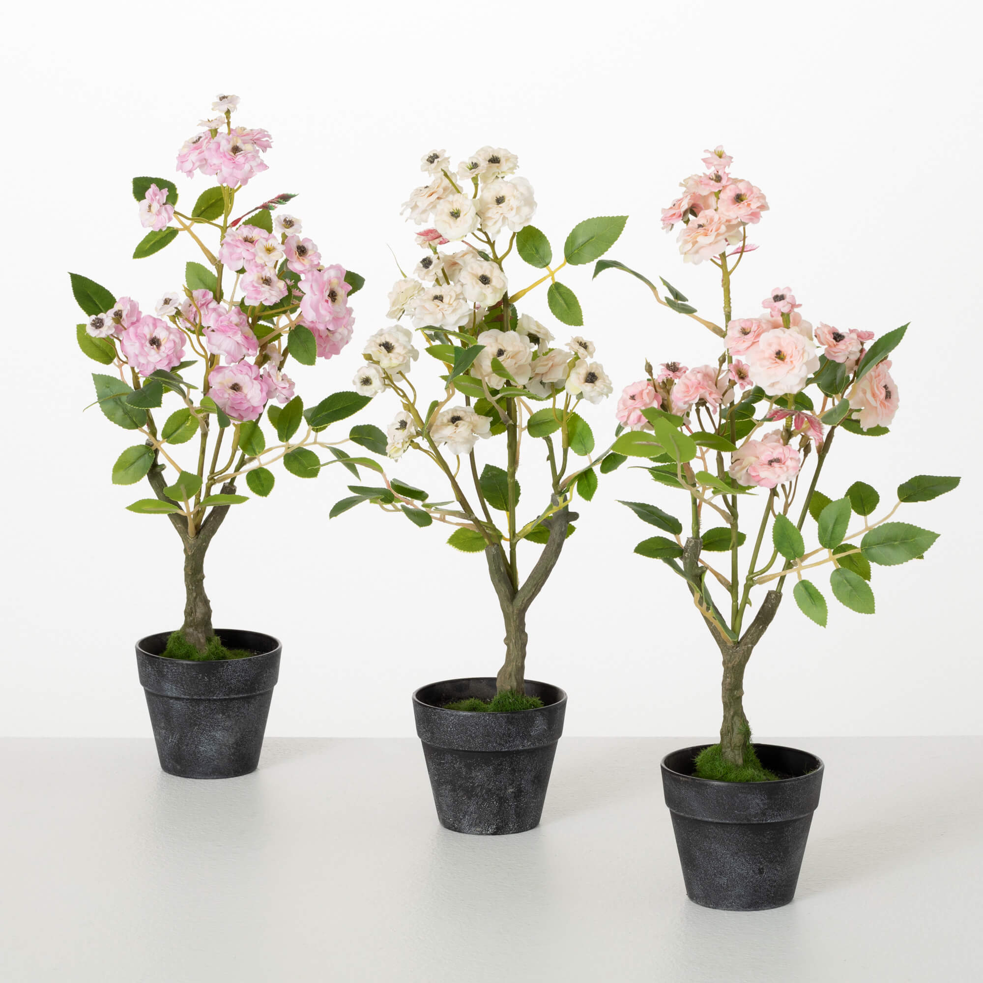 MINI ROSE BUSH - Zinnias Gift Boutique