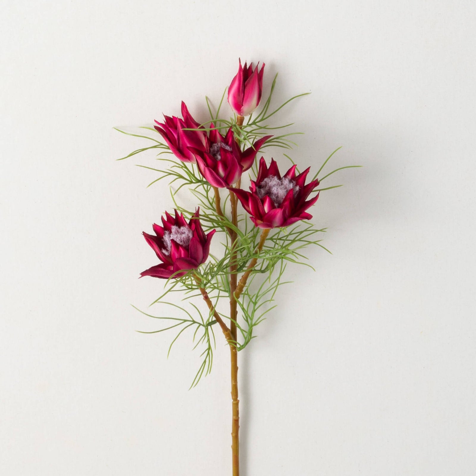MINI PROTEA SPRAY - Zinnias Gift Boutique