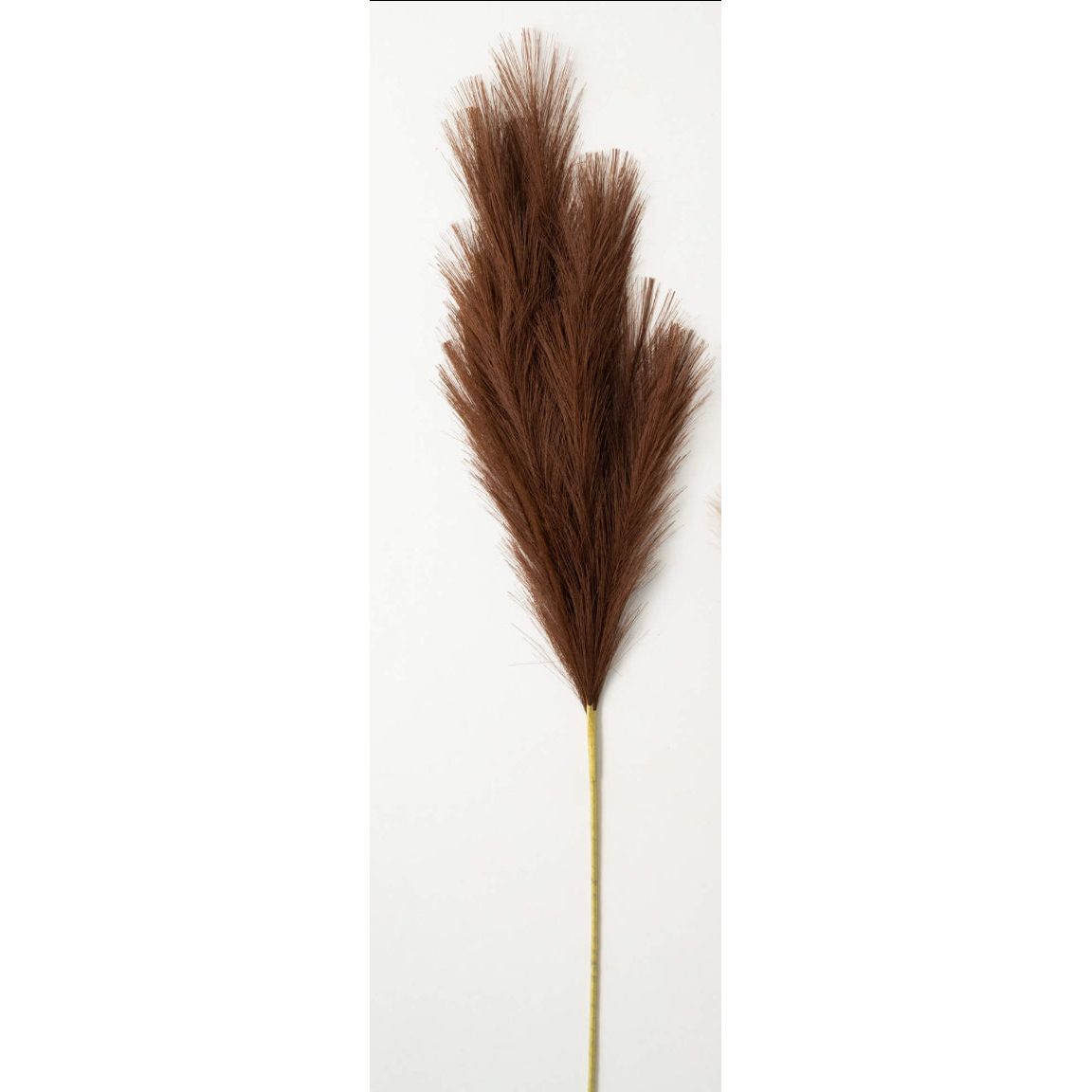 NEUTRAL FAUX DRIED REED SPRAY - Zinnias Gift Boutique