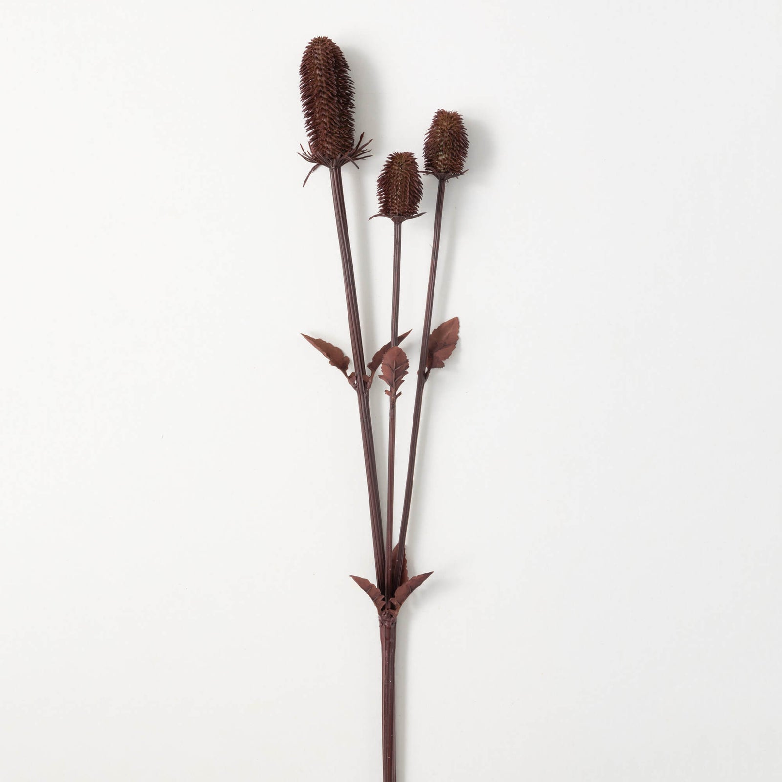 BURGUNDY THISTLE SPRAY - Zinnias Gift Boutique