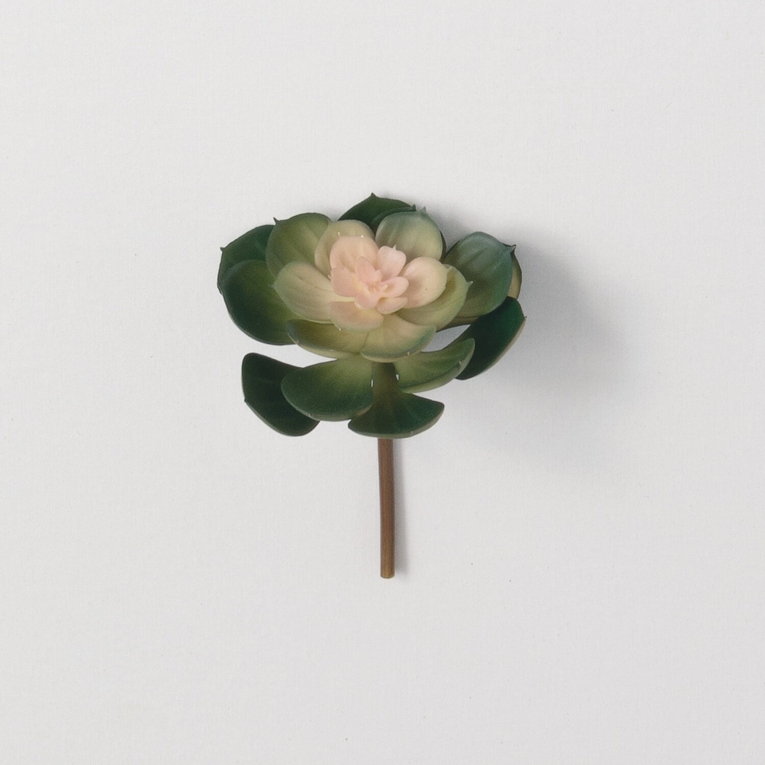 GREEN & PINK SUCCULENT PICK - Zinnias Gift Boutique