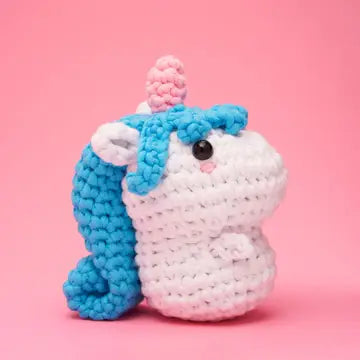 Beginner Crochet Kit - Zinnias Gift Boutique