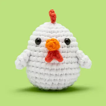 Beginner Crochet Kit - Zinnias Gift Boutique