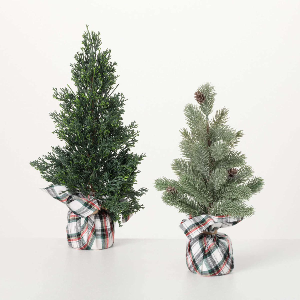 Holiday Wrap CYPRESS TREE - Zinnias Gift Boutique