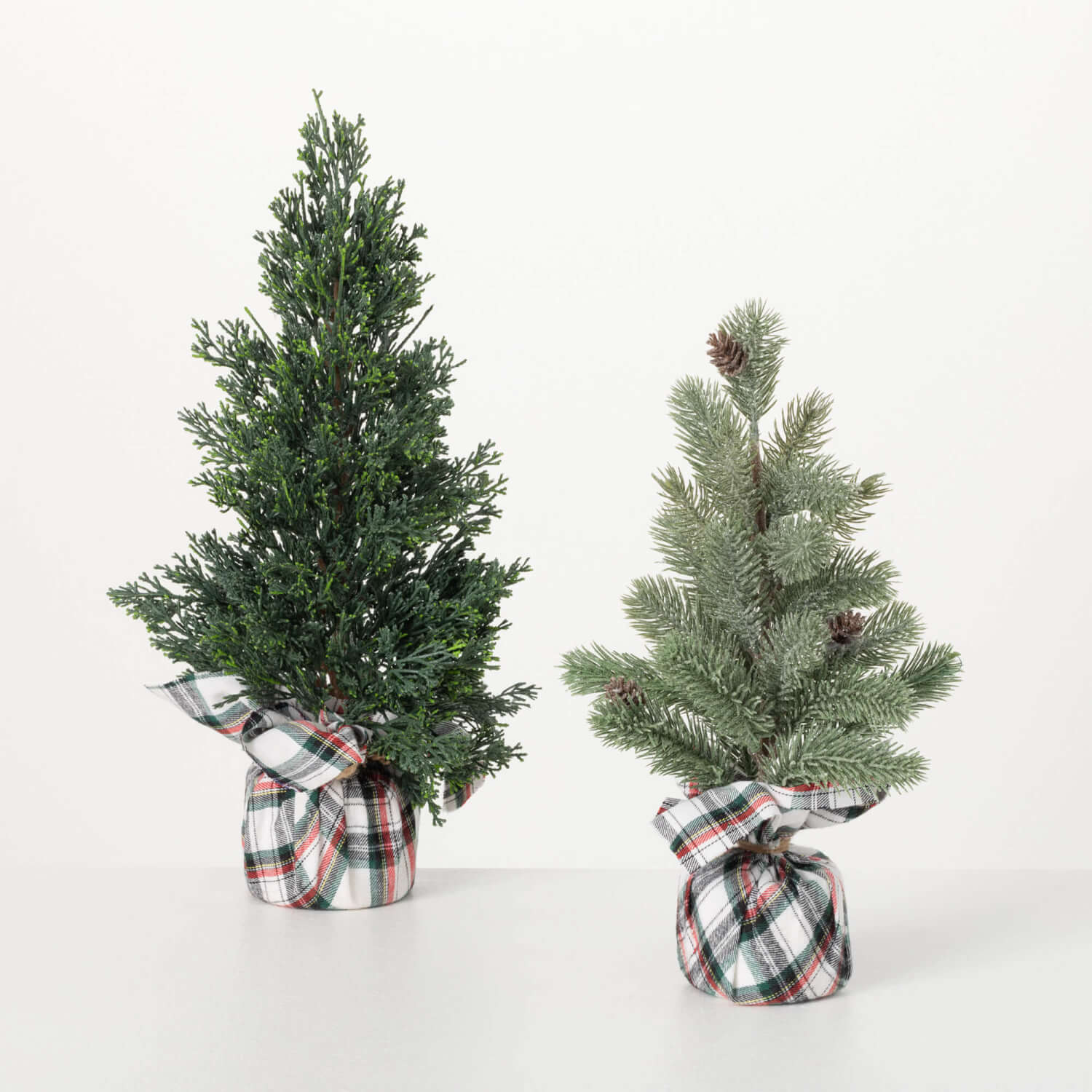 Holiday Wrap CYPRESS TREE - Zinnias Gift Boutique