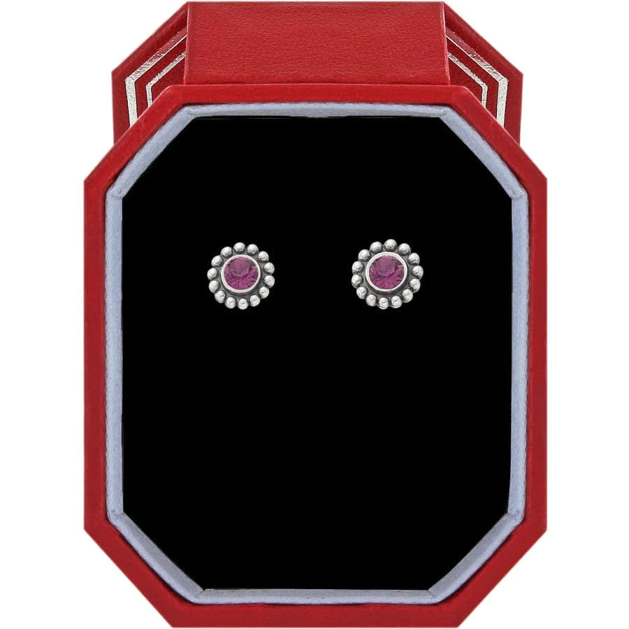 Twinkle Amethyst Mini Post Earrings - Zinnias Gift Boutique