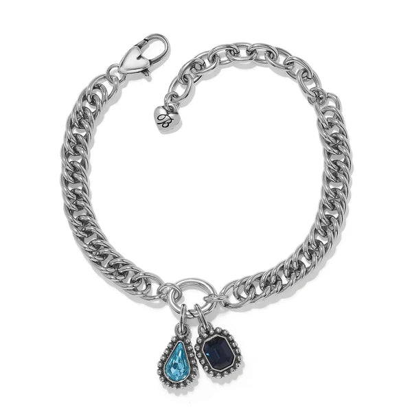 Twinkle Luxe Charm Link Bracelet - Zinnias Gift Boutique