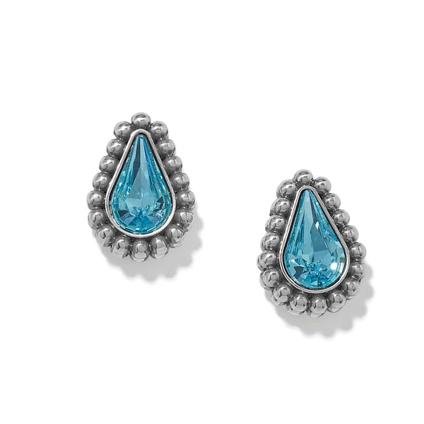 Twinkle Luxe Teardrop Post Earrings - Zinnias Gift Boutique