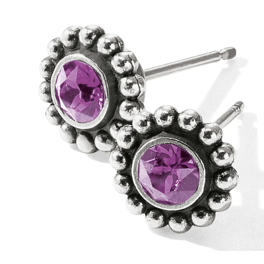 Twinkle Mini Post Earrings - Zinnias Gift Boutique