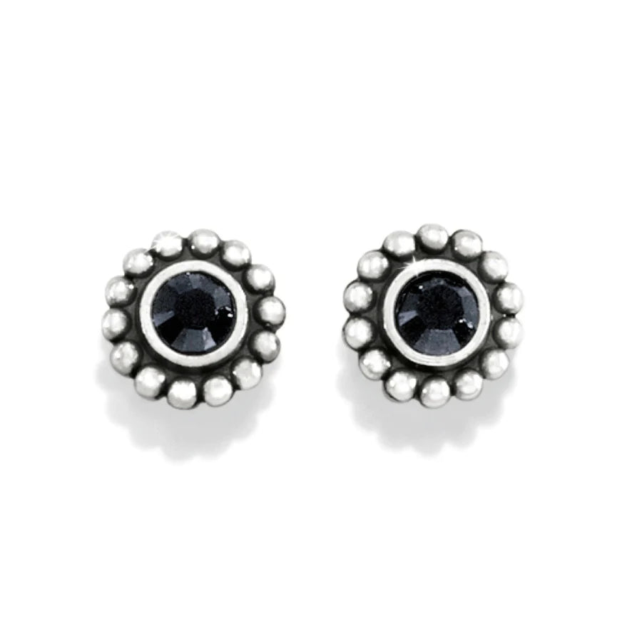 Twinkle Mini Post Earrings - Zinnias Gift Boutique