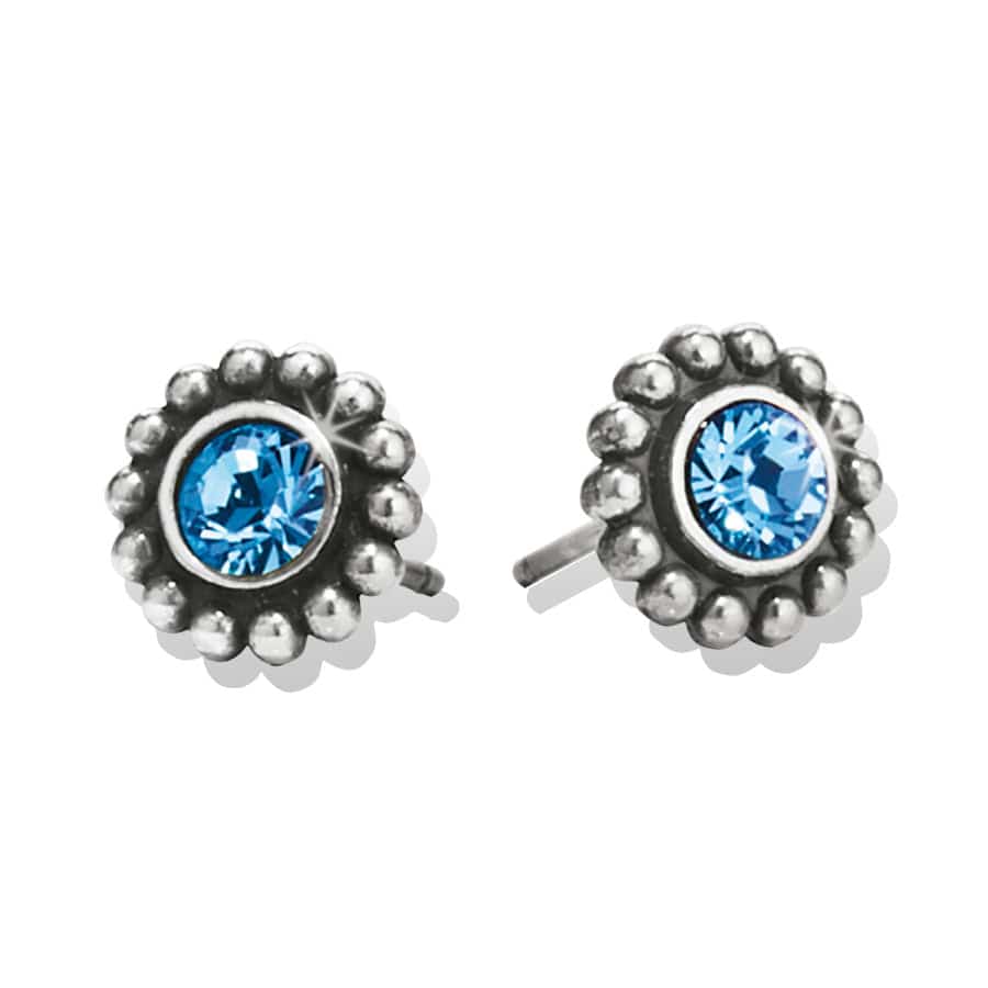 Twinkle Mini Post Earrings - Zinnias Gift Boutique