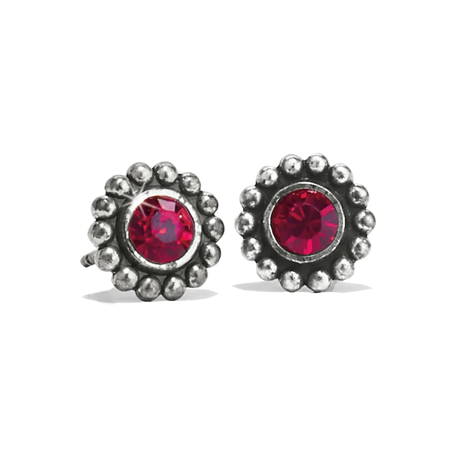 Twinkle Mini Post Earrings - Zinnias Gift Boutique