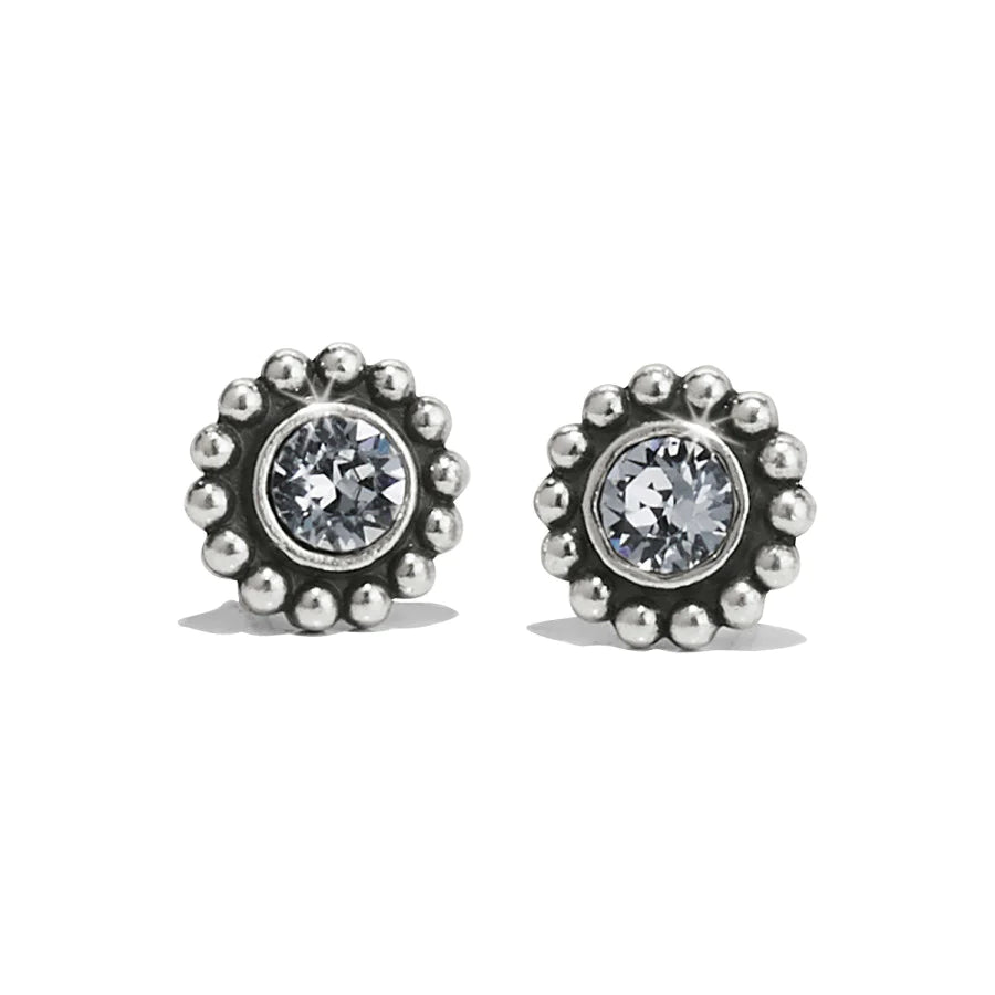 Twinkle Mini Post Earrings - Zinnias Gift Boutique