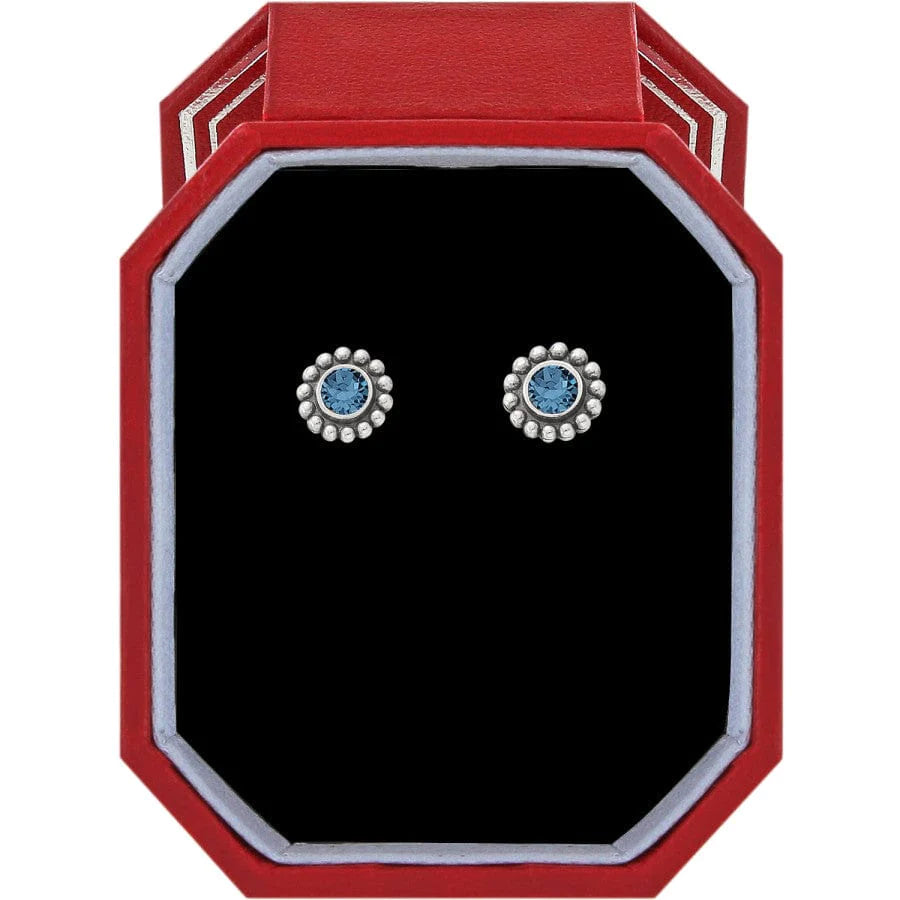Twinkle Sapphire Mini Post Earrings - Zinnias Gift Boutique