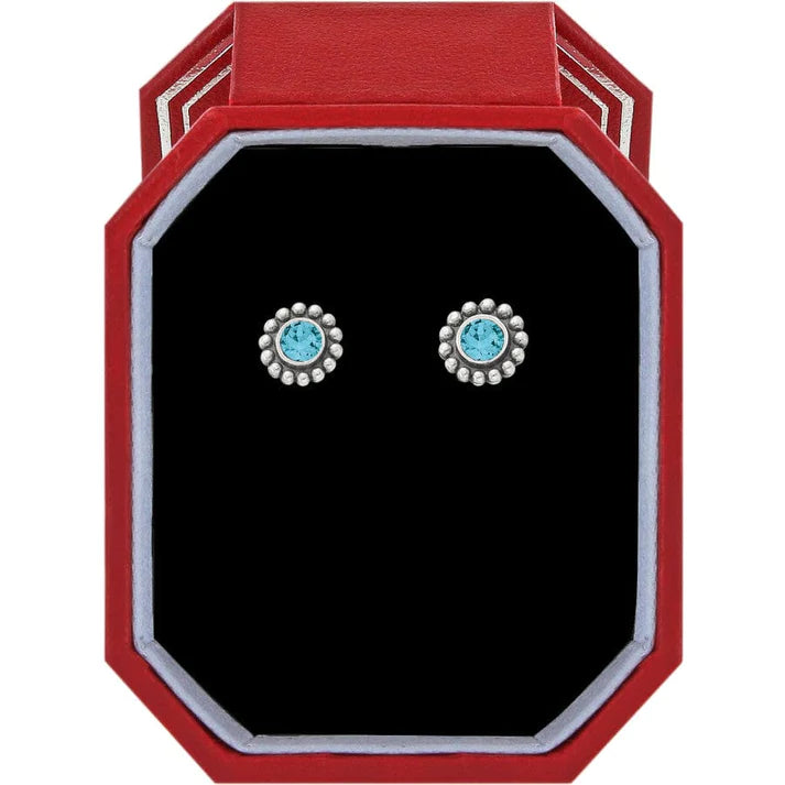 Twinkle Zircon Mini Post Earrings - Zinnias Gift Boutique