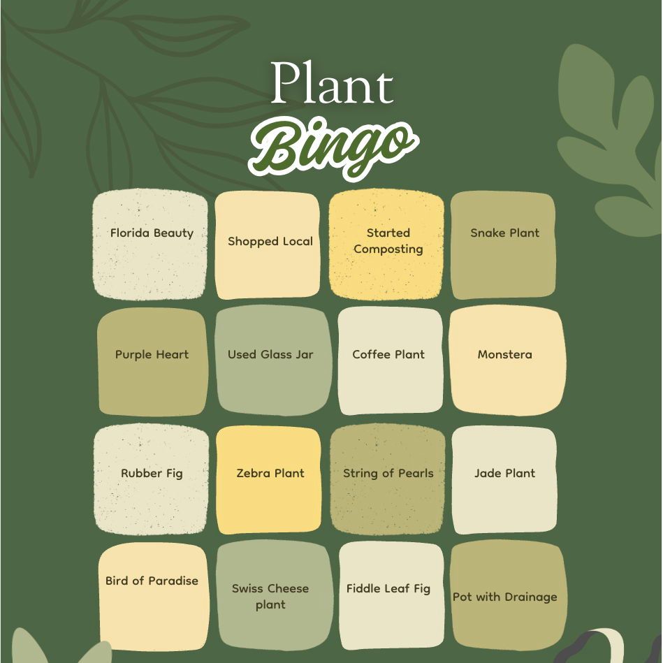 Winter Plant Bingo  - 9 Dec 2026 - Zinnias Gift Boutique
