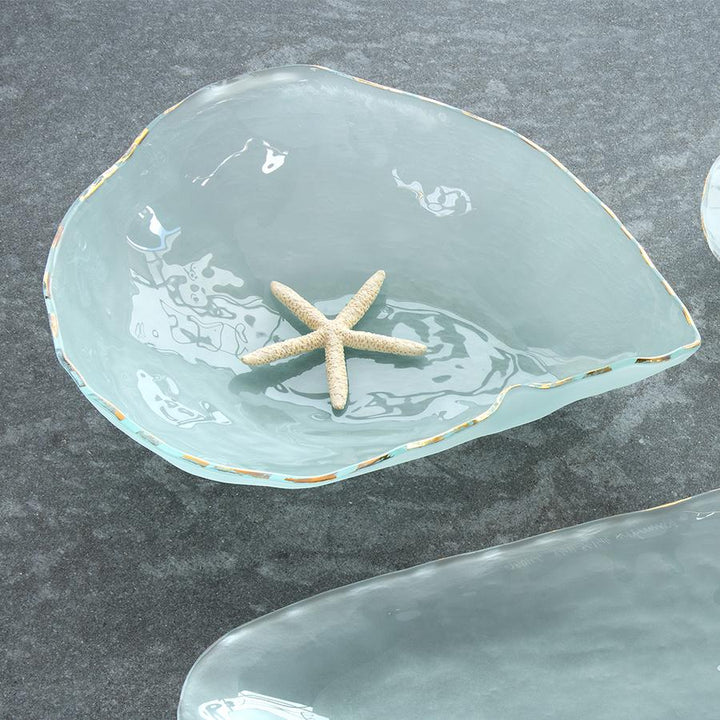 Shells Volute - Zinnias Gift Boutique