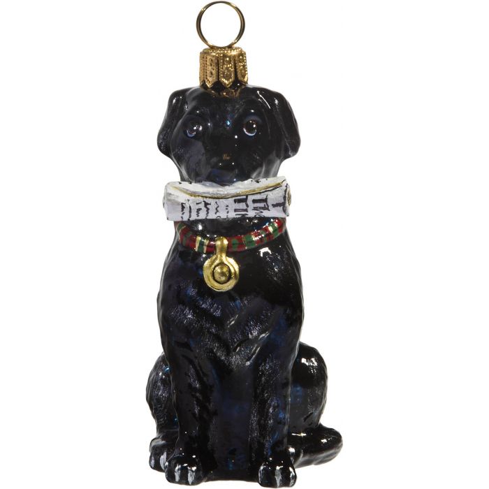 Black Lab with Newspaper - Zinnias Gift Boutique