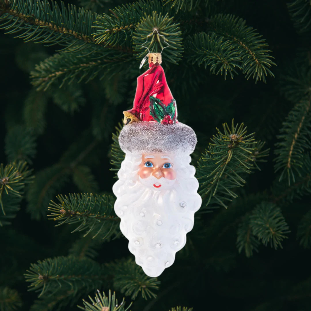 Christopher Radko CHRISTMAS WORLD Glass Ornament Christmas Angel Hair