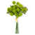 13 Inch Green Sycamore Fruit Ball Bundle (6 Stems) - Zinnias Gift Boutique