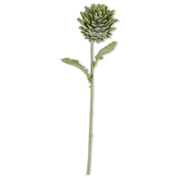 16 Inch Green Artichoke  Stem - Zinnias Gift Boutique