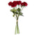 17 Inch Red Real Touch Full Bloom Rose Stem w Foliage Bundle (6 Stems) - Zinnias Gift Boutique