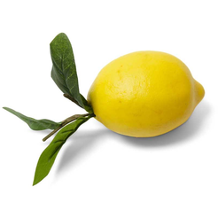 4.5 Inch Lemon w Foliage - Zinnias Gift Boutique