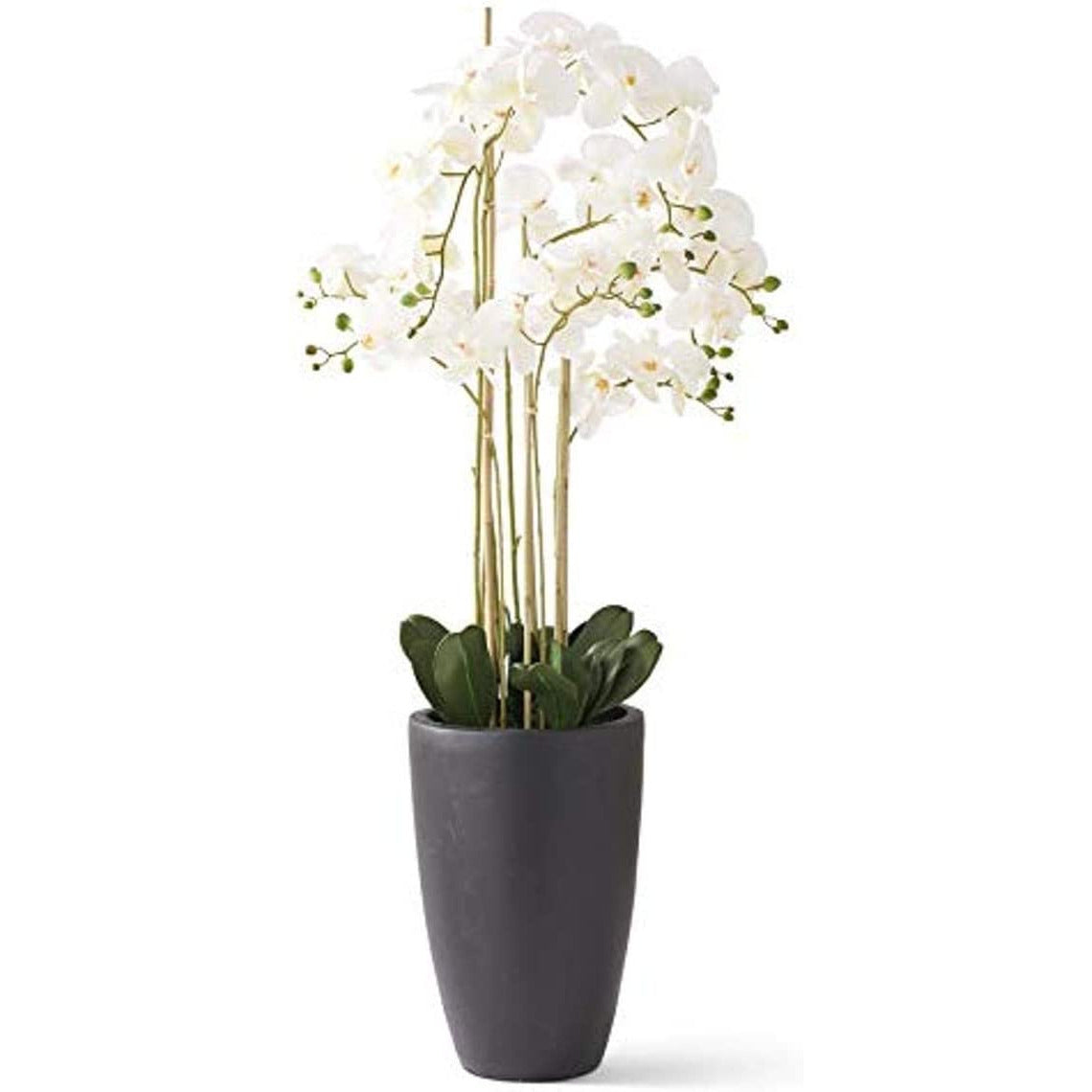 49.5 Inch White Real Touch Phalaenopsis Orchid In Matte Black Ceramic Pot - Zinnias Gift Boutique