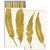 Matches - Feather - Gold Foil - Zinnias Gift Boutique