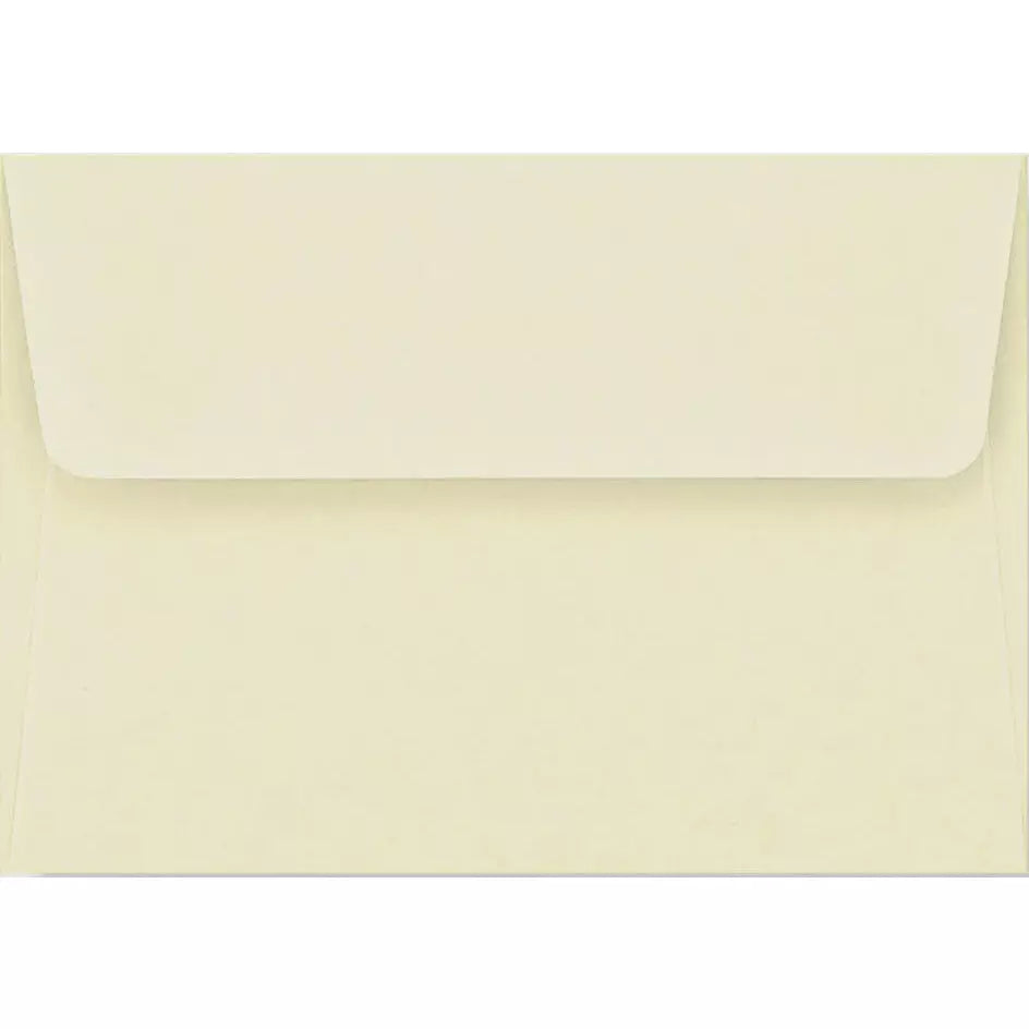 Ladybug Thank You Notes - Zinnias Gift Boutique