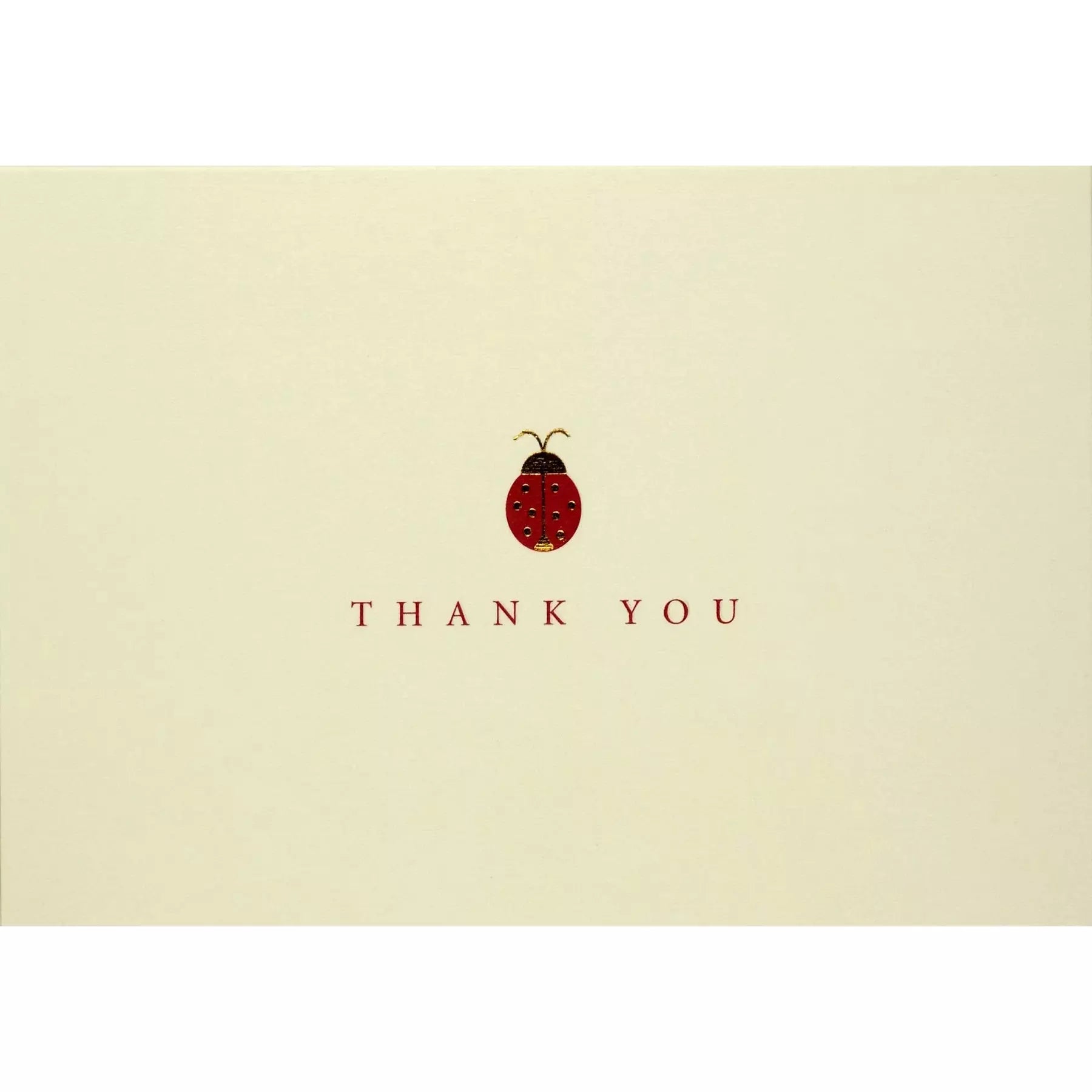 Ladybug Thank You Notes - Zinnias Gift Boutique