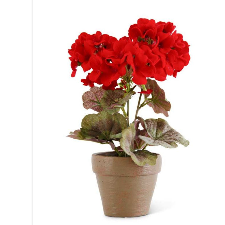 9 Inch Red Geranium in Distressed Clay Pot - Zinnias Gift Boutique