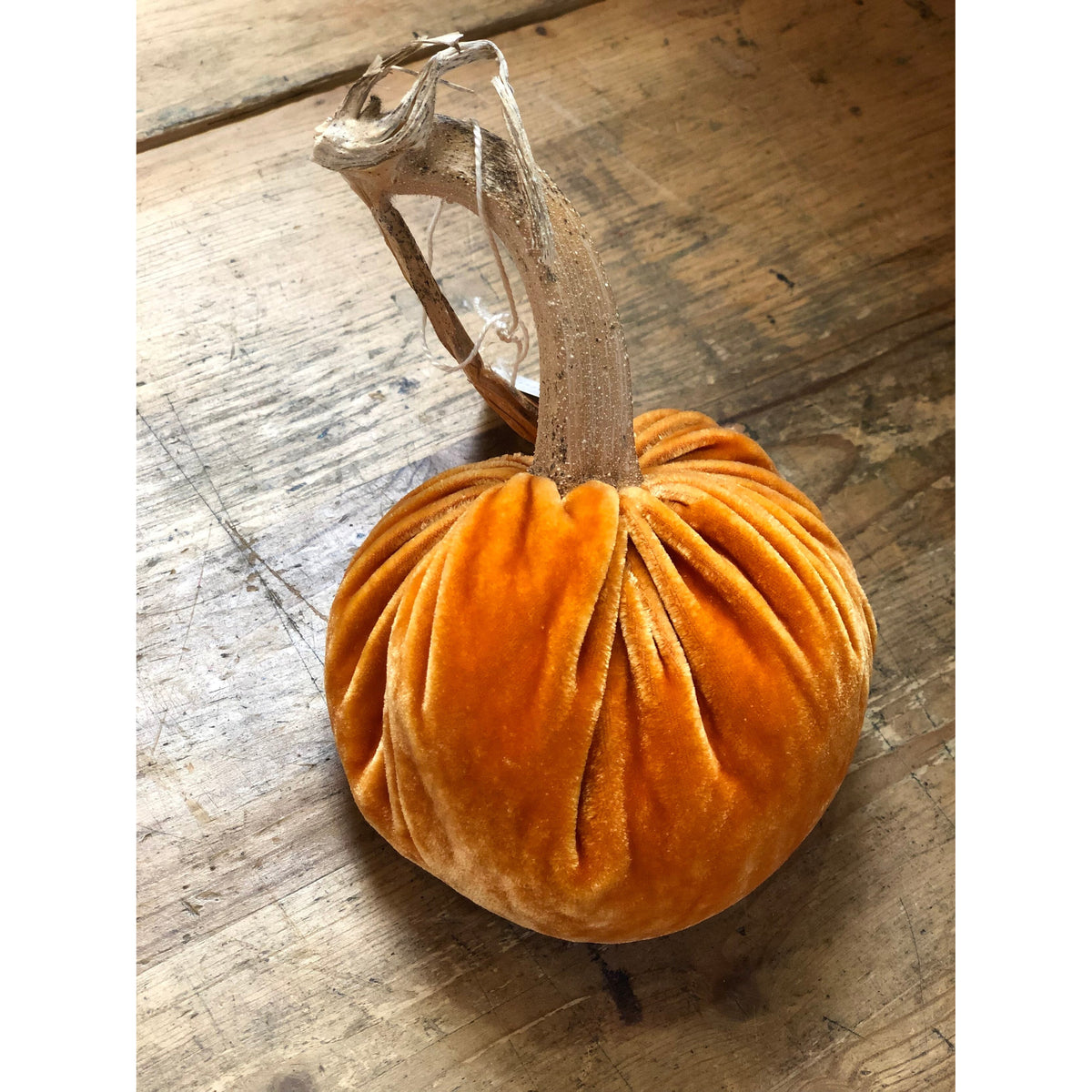 Velvet Pumpkins - Orange - Zinnias Gift Boutique