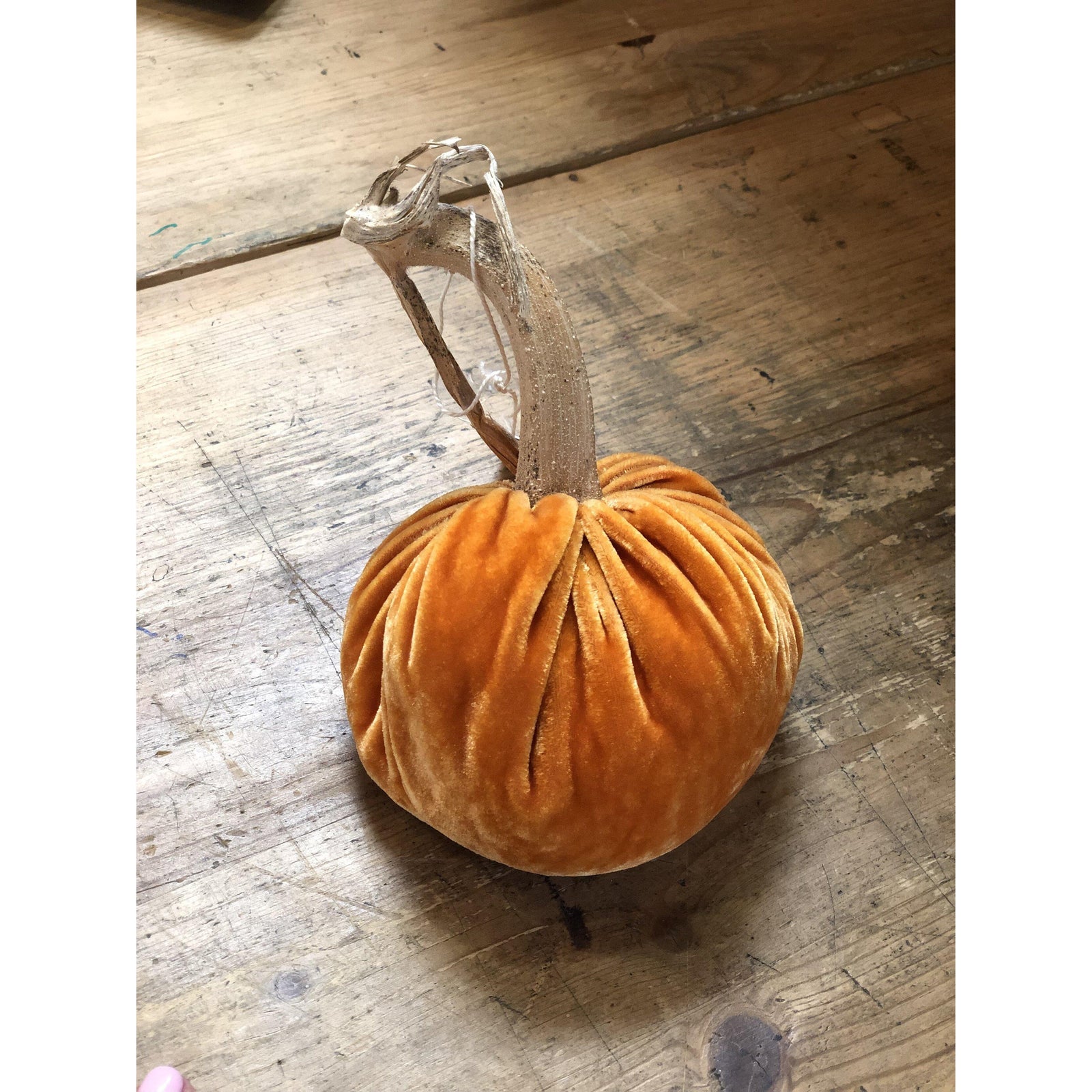 Velvet Pumpkins - Orange - Zinnias Gift Boutique