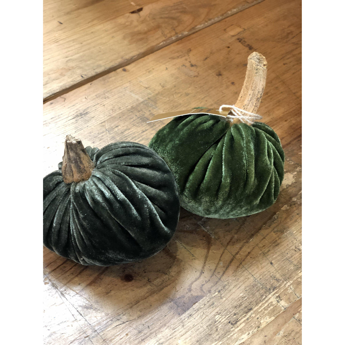 Velvet Pumpkins - Dark Green - Zinnias Gift Boutique