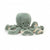 Odyssey Octopus Large - Zinnias Gift Boutique