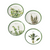 Herb Snack Plates - Zinnias Gift Boutique