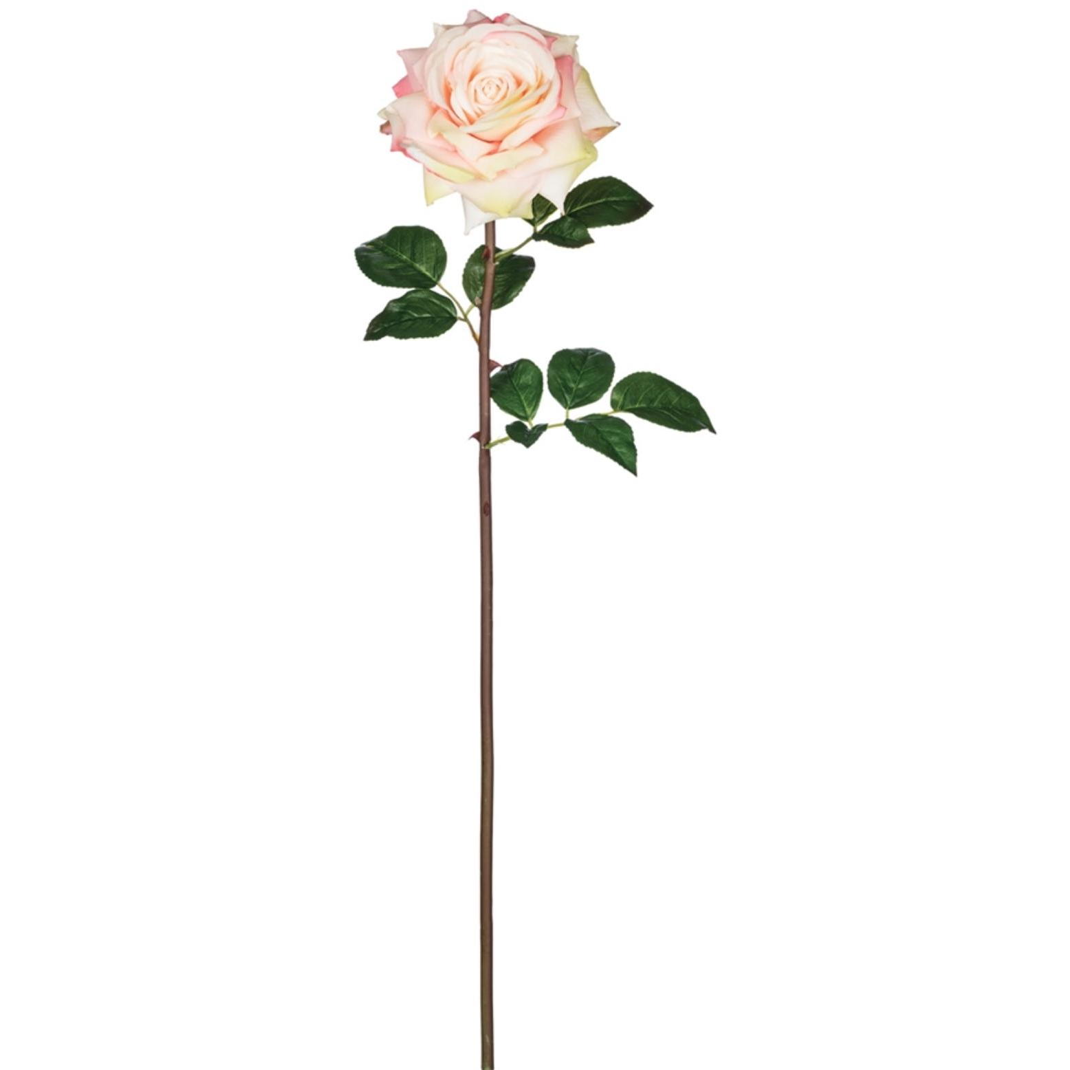 Open Rose Stem - Zinnias Gift Boutique